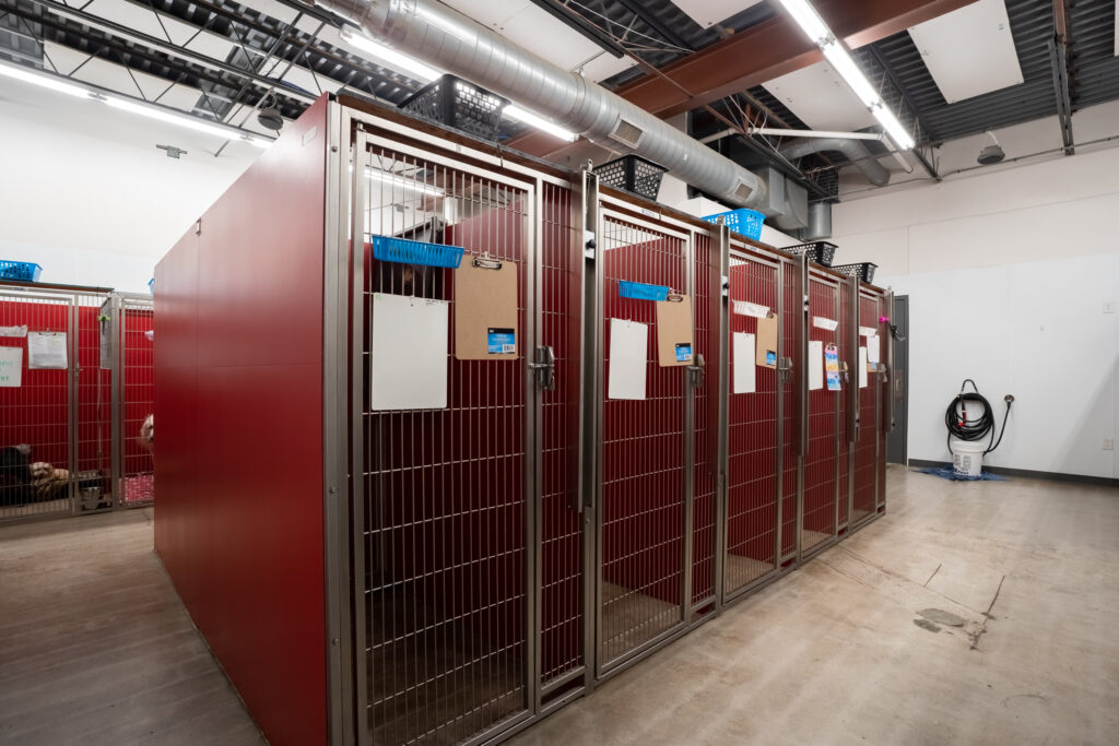 Live Oak Pet Hotel 03 Halo Construction